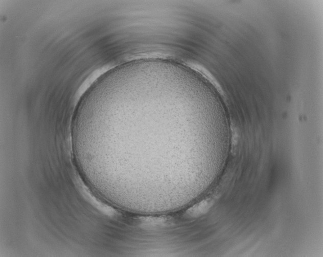 X0000070400890200606302008