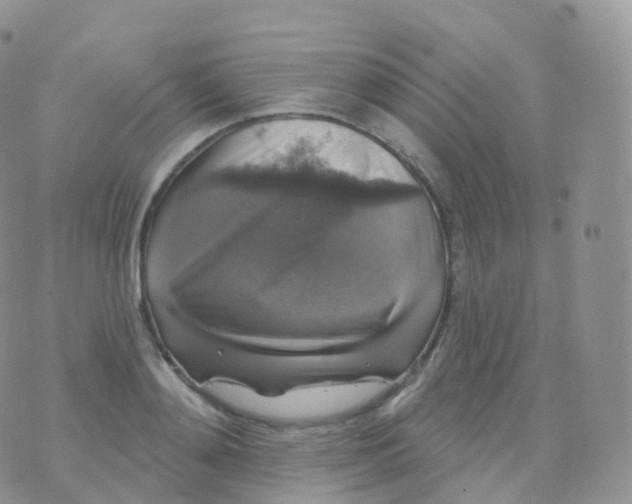 X0000070400892200606302008