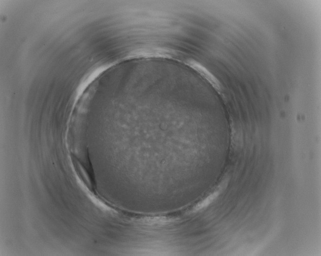 X0000070400893200606302008