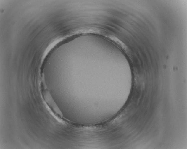 X0000070400894200606302008