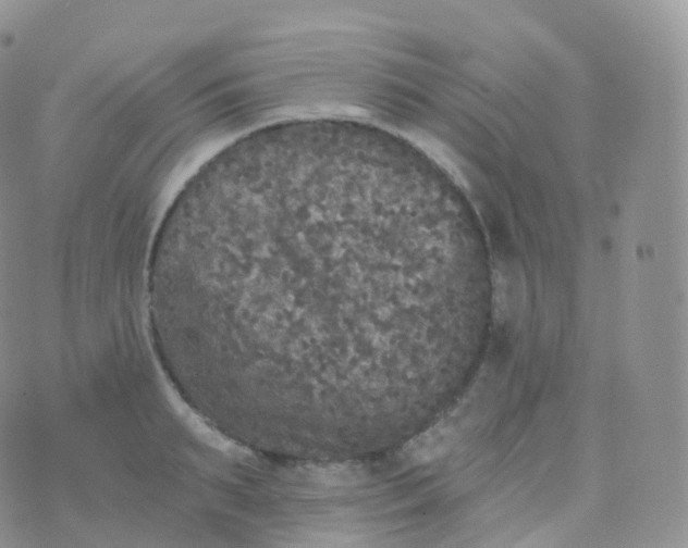 X0000070400895200606302008