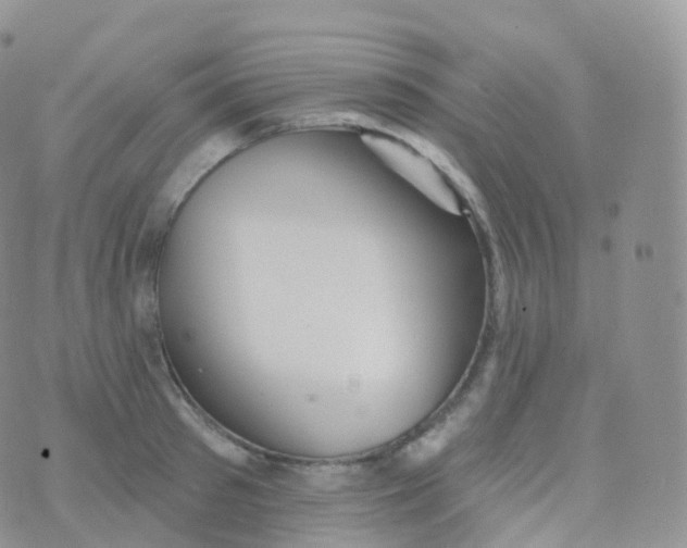 X0000070400897200606302008