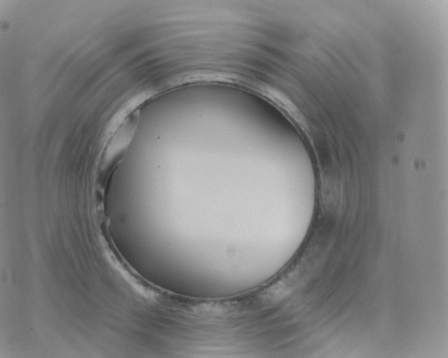 X0000070400898200606302008