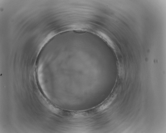 X0000070400899200606302008