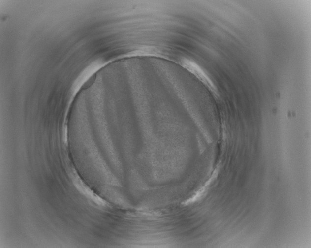 X0000070400900200606302008