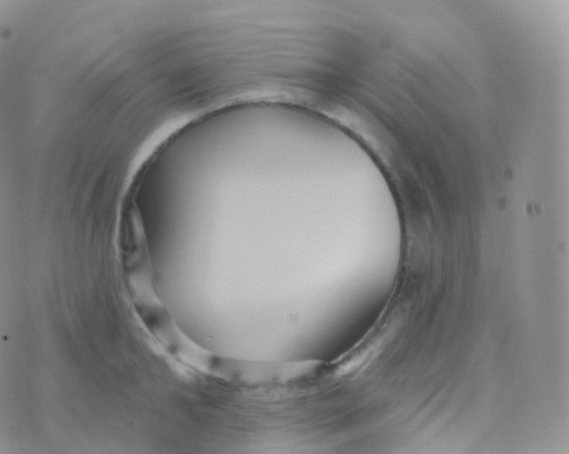 X0000070400902200606302008