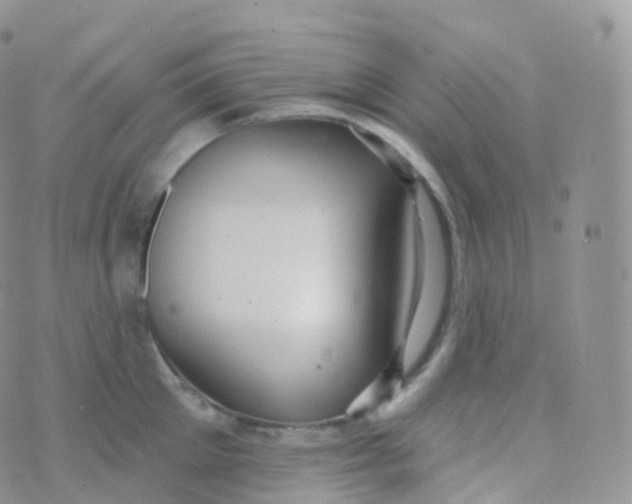 X0000070400905200606302008