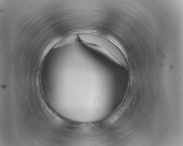 X0000070400906200606302008