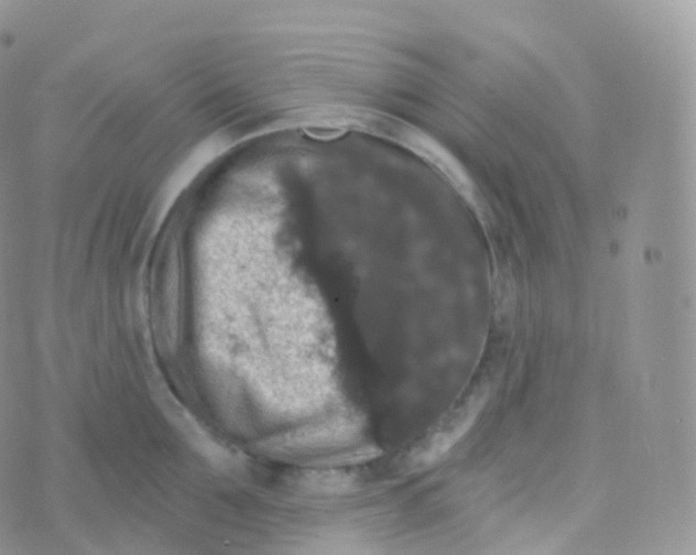 X0000070400907200606302008