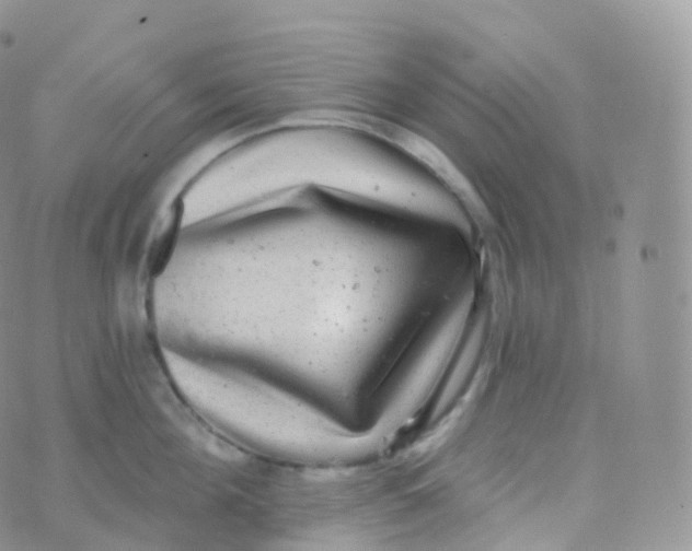 X0000070400908200606302008