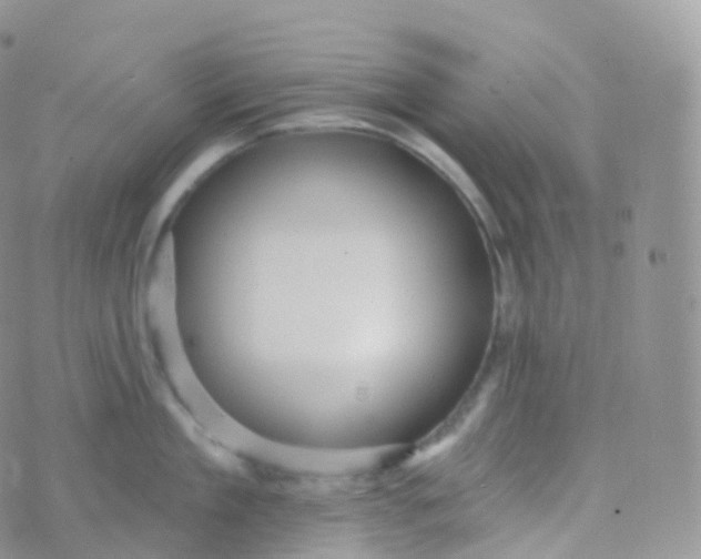 X0000070400909200606302008