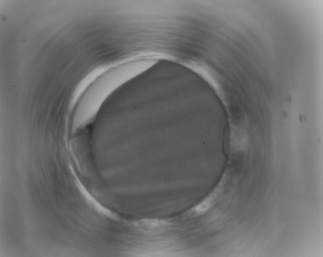 X0000070400910200606302008