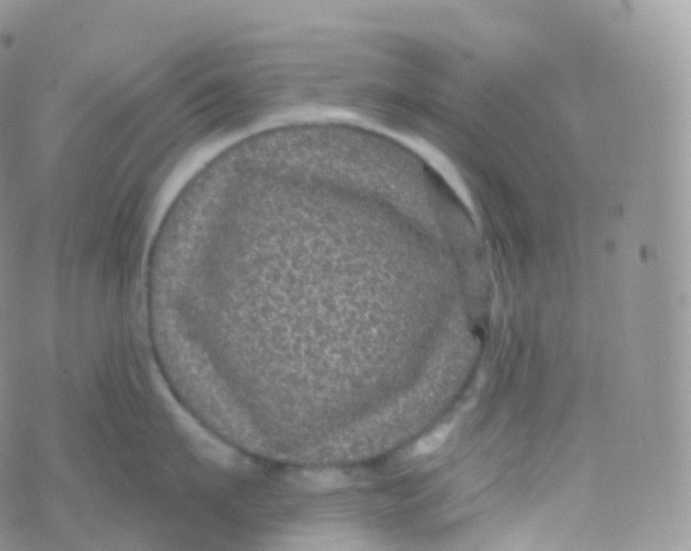 X0000070400911200606302008