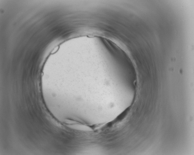 X0000070400912200606302008