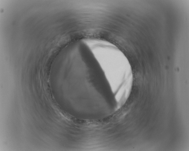 X0000070400913200606302007