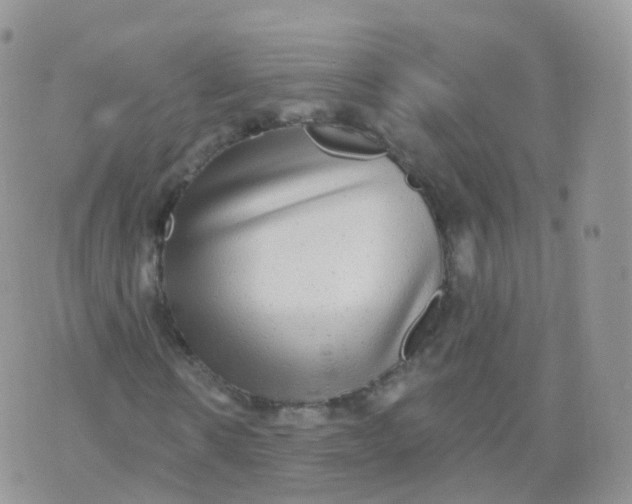 X0000070400914200606302007