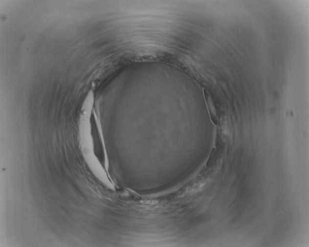 X0000070400916200606302007