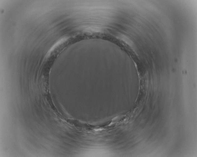 X0000070400919200606302007