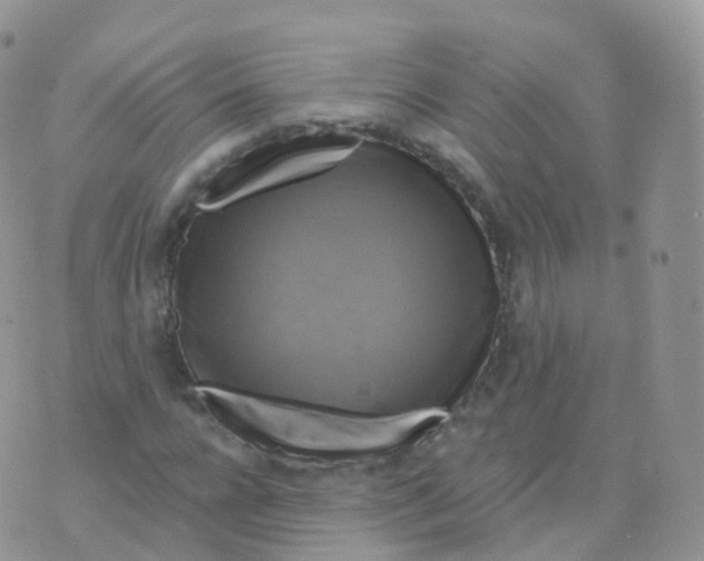 X0000070400920200606302007