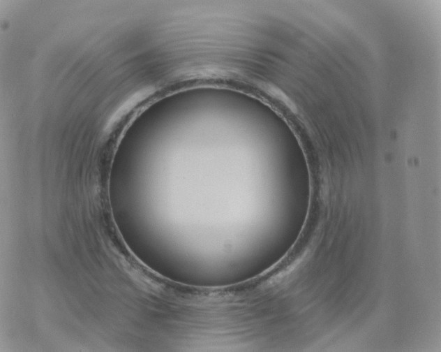 X0000070400922200606302007