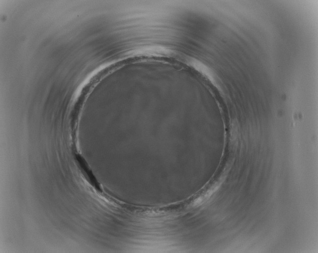 X0000070400923200606302007