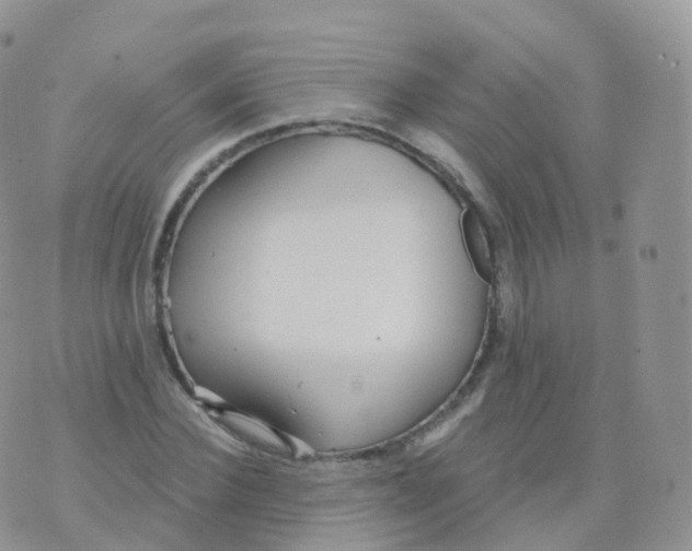 X0000070400924200606302007