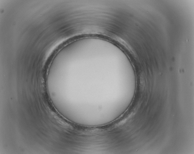 X0000070400926200606302007