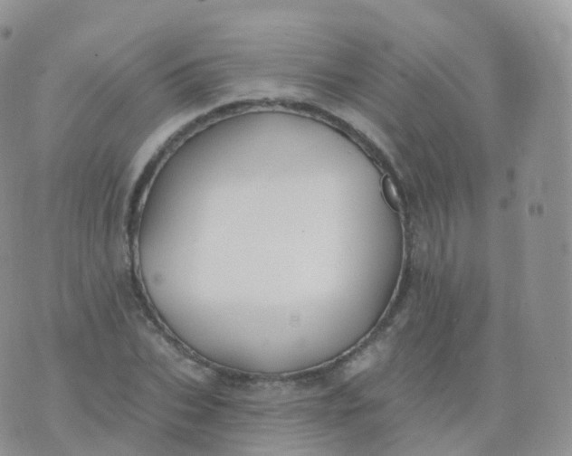 X0000070400927200606302007