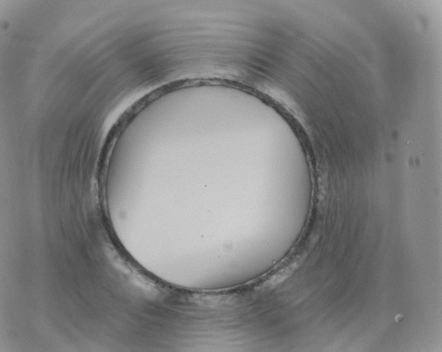 X0000070400928200606302007