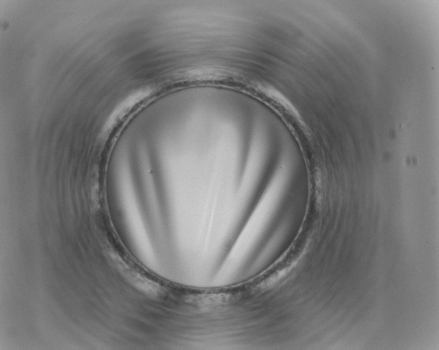 X0000070400930200606302007