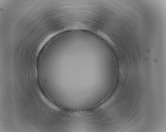 X0000070400934200606302007