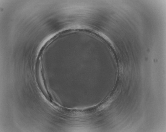 X0000070400935200606302007