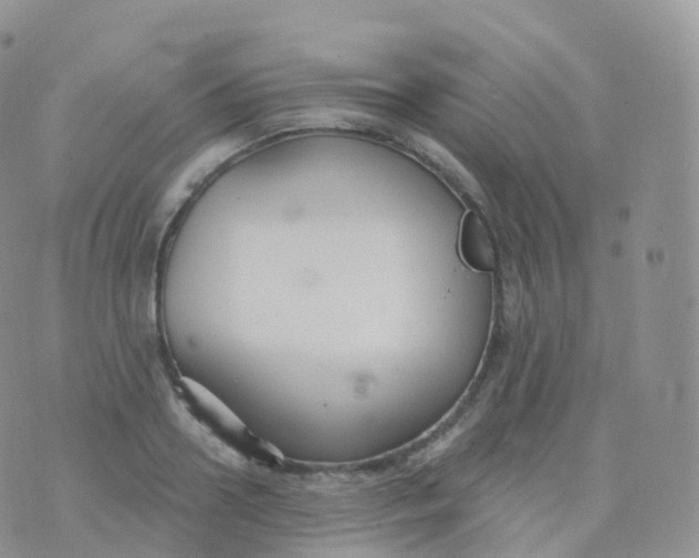 X0000070400938200606302008