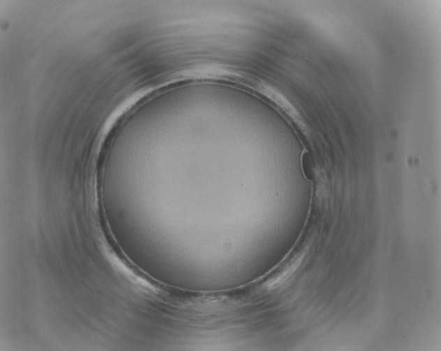 X0000070400939200606302008