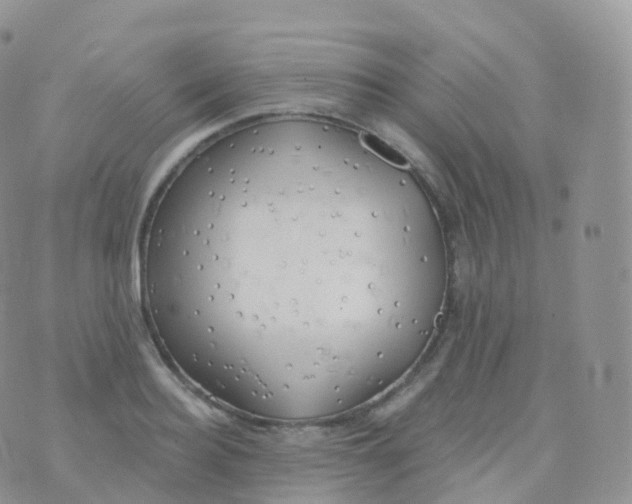 X0000070400940200606302008