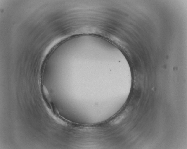 X0000070400942200606302008