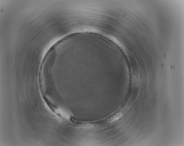 X0000070400943200606302008