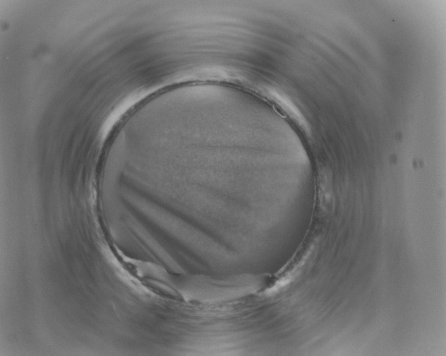 X0000070400944200606302008