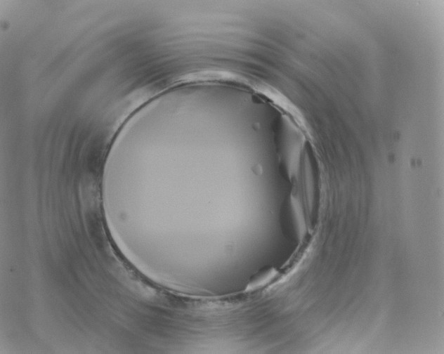 X0000070400945200606302008