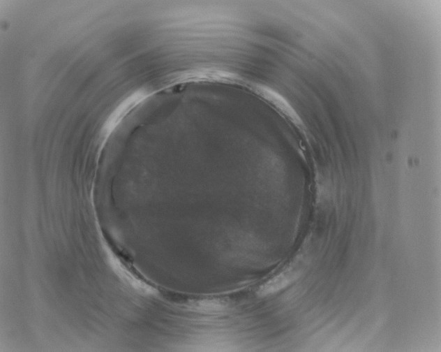 X0000070400946200606302008