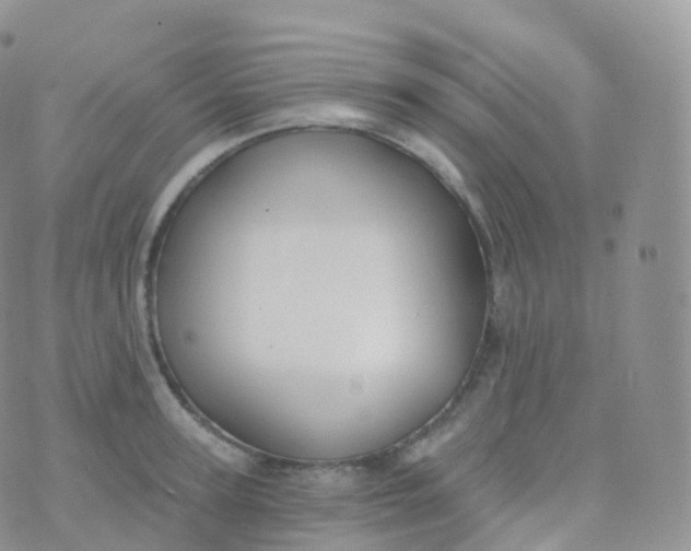 X0000070400947200606302008