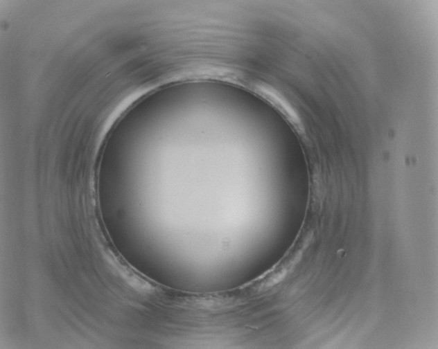 X0000070400948200606302008