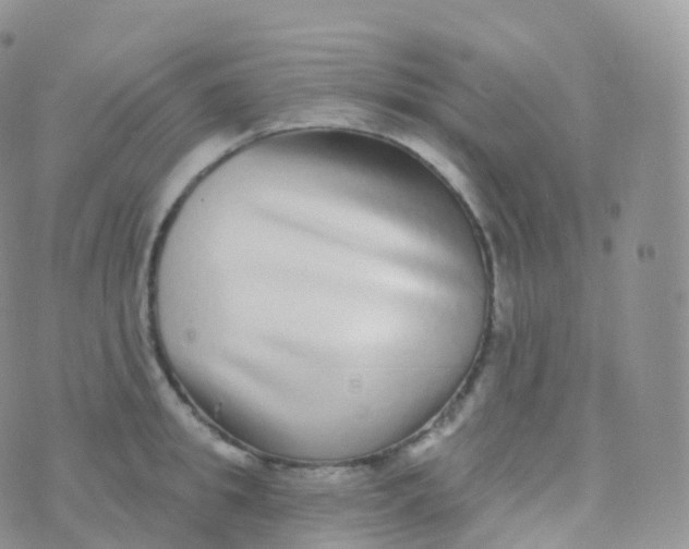 X0000070400949200606302008