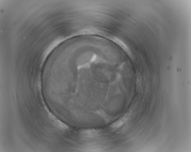 X0000070400950200606302008