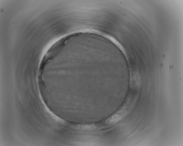 X0000070400951200606302008