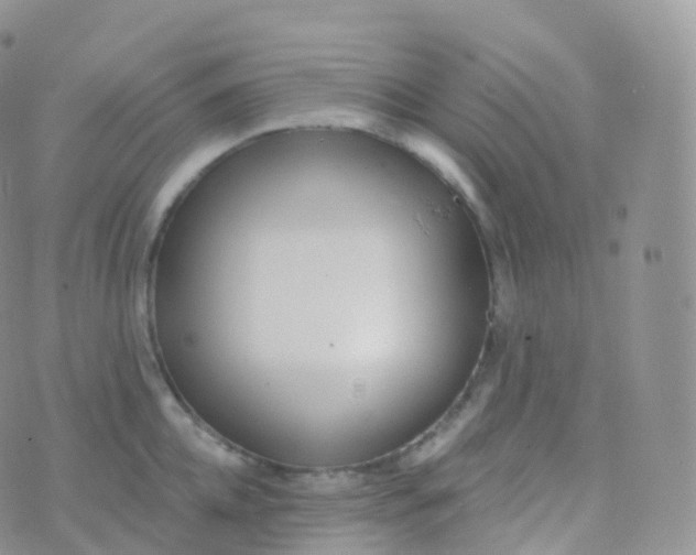 X0000070400952200606302008