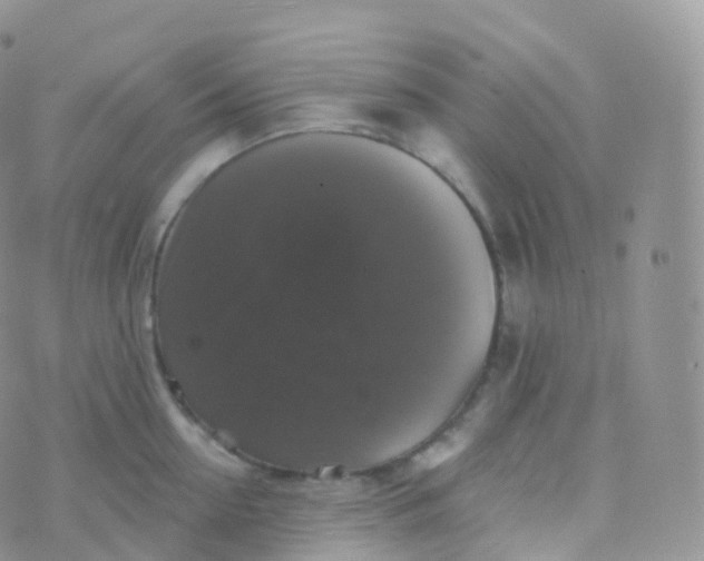 X0000070400954200606302008