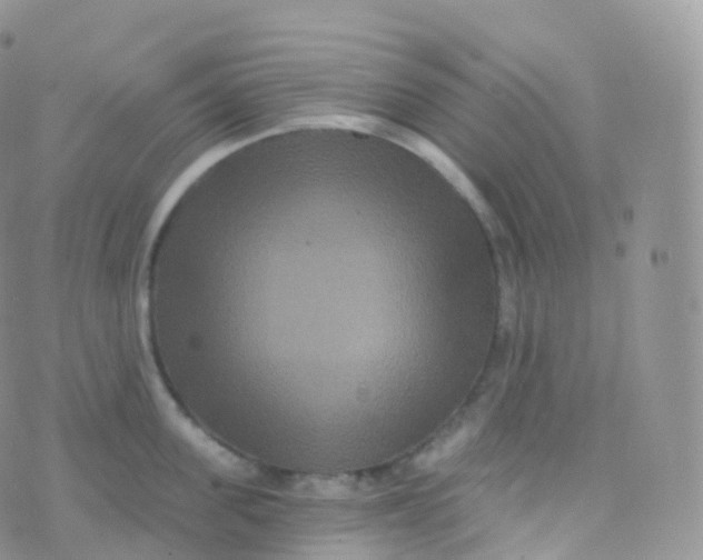 X0000070400955200606302008