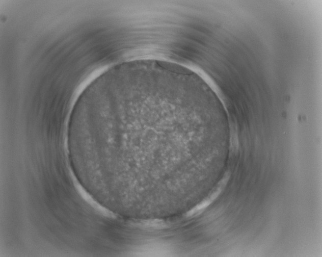 X0000070400957200606302008