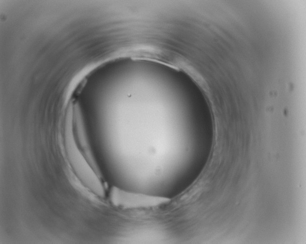 X0000070400960200606302008